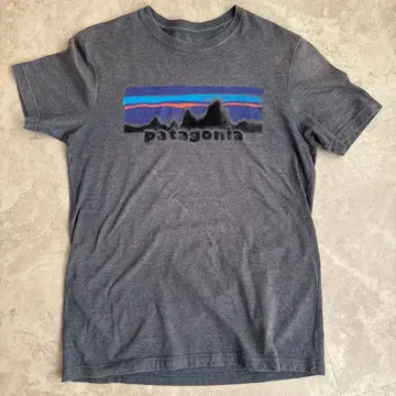patagonia 그레이 T셔츠 M