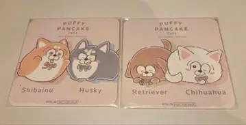 마츠이누 미쿠가 코스터 장형 사이버