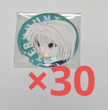 크라피카 올스타 캔뱃지 헌터헌터