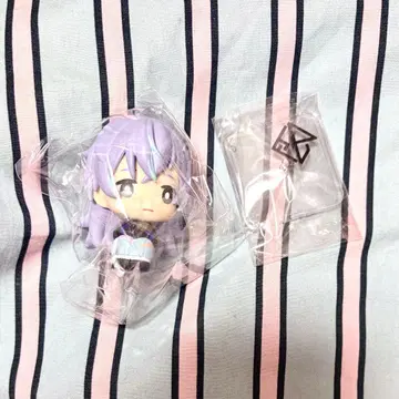 니지콧토 호시미치 쇼