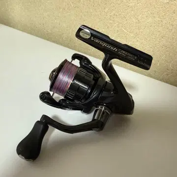 시마노 19 뱅퀴시 C2500SXG