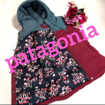 ee16 patagonia 다운 베스트 버섯 올 패턴 여성용 M 상당
