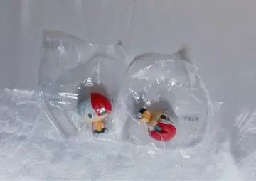 히로아카 토도로키 쇼토 쵸코놋코 문화제 2개 세트