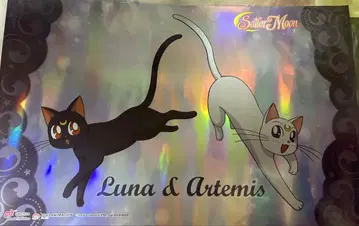 세일러문 홀로그램 포스터 루나&아르테미스1