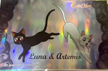 세일러문 홀로그램 포스터 루나&아르테미스2