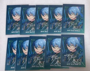 토야 파샤츠 10장