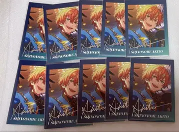 아키토 파샤츠 10장