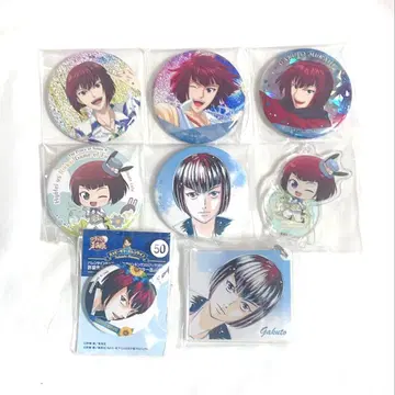 신 테니스의 왕자님 무카히 가쿠토