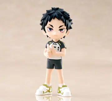 하이큐!! 피규어 파르베르 아카아시 케이지