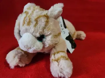 선레몬 무릎 고양이 봉제 인형 고양이 네코 애니멀 SUN LEMON