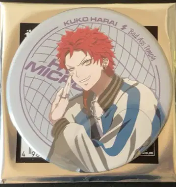 하라이 쿠코 캔뱃지 4개 세트