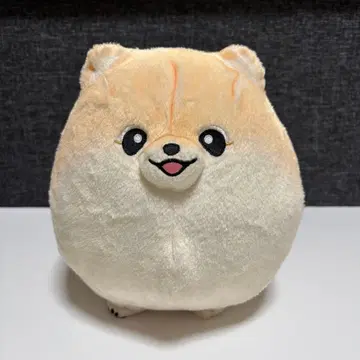 뽀뽀치 포메라니안 BIG 봉제 인형 한정판