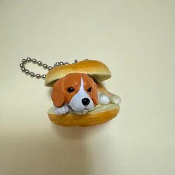 강아지빵 6 비글 샌드