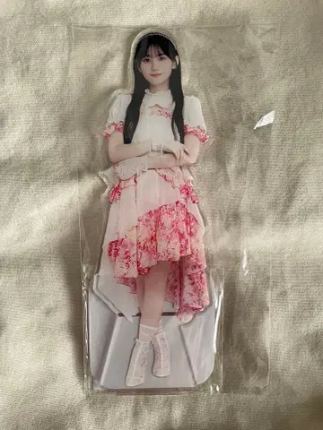 노기자카46 Lucky Bag 랜덤 BIG 아크릴 스탠드 카와사키 벚꽃