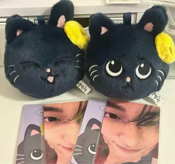 RIIZE 원빈 팝업 블라인드 박스 냥독 컴프