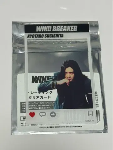 영화 WIND BREAKER 윈브레 JUNON