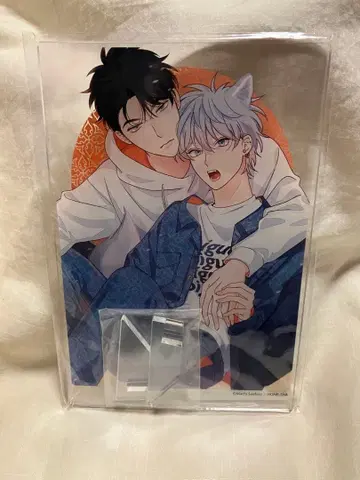 애매한 울프 끝 넓은 바닥 복권 아크릴 스탠드 아크스타 BL 상업 bl