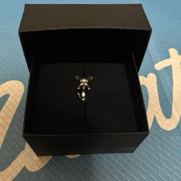 죠죠의 기묘한 모험 반지. 이기 반지