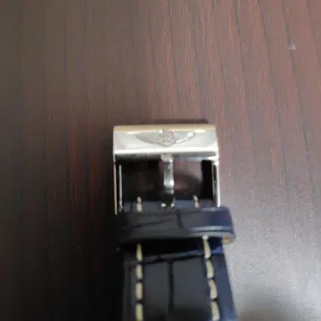 브라이틀링 비죠 20mm 외부 벨트 포함