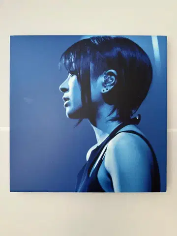 우타다 히카루 Laughter in the Dark Tour