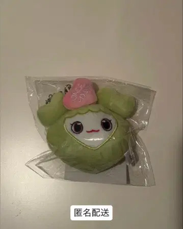 TWICE ONCEDAY 백참 정블리(정현)