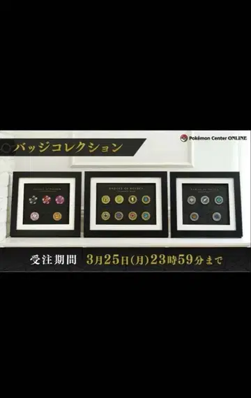 미개봉 새상품 포켓몬 헬스장 배지 컬렉션 SV 바이올렛 스칼렛