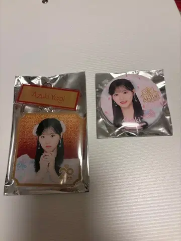 AKB48 스페셜 복권 야기 아이즈키 키링 배지 2종 세트