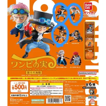 제10 해적 원피스 열매 5세트