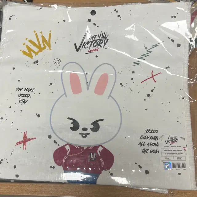 미개봉 리빗 타포린백 더빅토리 팝업 스키주 필릭스 리노 현진 두잇