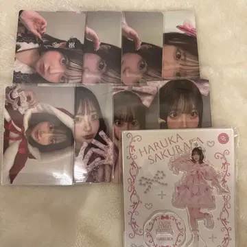사쿠라바 하루카 트레이딩 카드 아크릴 스탠드 묶음 판매 큐스트
