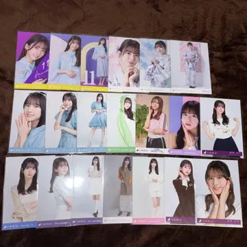 노기자카46 브로마이드 스가와라 사츠키 묶음 판매 20장 세트