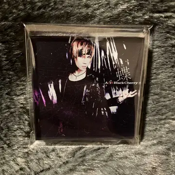 미사용 새상품 애시드 블랙 체리 ABC 마그넷 나비