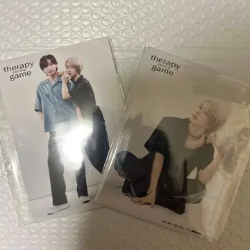 테라피 게임 사진 2장 세트