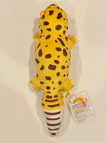 레오파의 키쨩 약 33cm 사이좋은 봉제 인형 키쨩