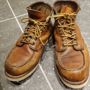 RED WING 아이리쉬 세터