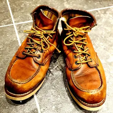 RED WING 아이리쉬 세터