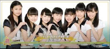 하로프로 연구생 홋카이도 극세사 타월 데지타월 타월 하로프로