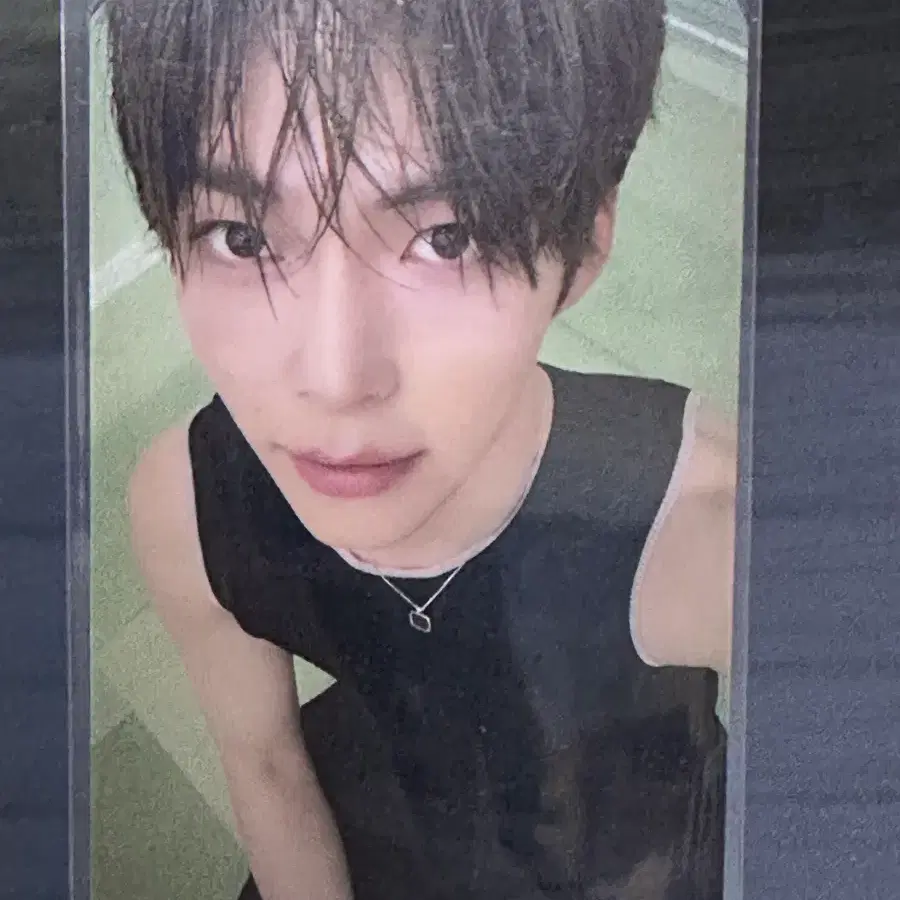 Zerobaseone Sung Hanbin Bjork &amp; Vari limited photocard