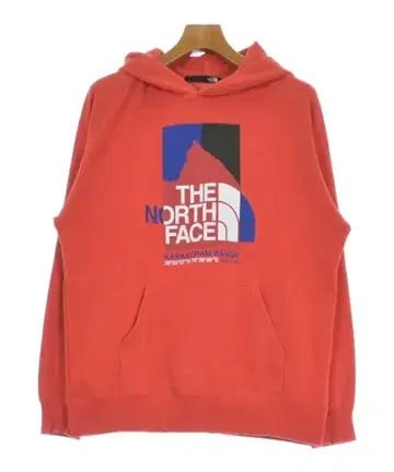 THE NORTH FACE 남성용 후드티