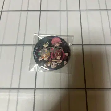 기사A knight A 테루토군 사인 포함 캔뱃지