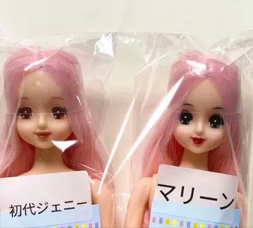 즐거운 인형 쌍둥이 리카짱 캐슬 제니 초대 제니 마린