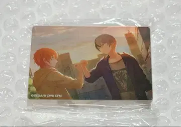 프로세카 노블 아트 47 토야