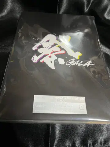GALA DVD 2장 세트 최초 한정판