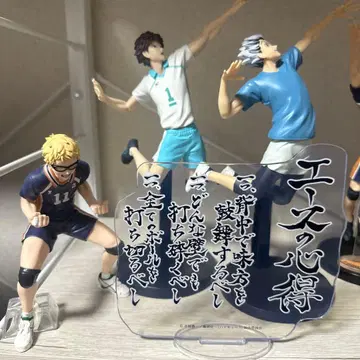 하이큐 피규어 오이카와 보쿠토 츠키시마