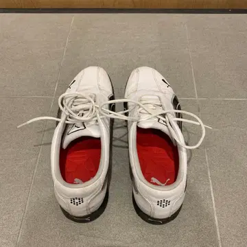 Puma 골프화 화이트/블랙