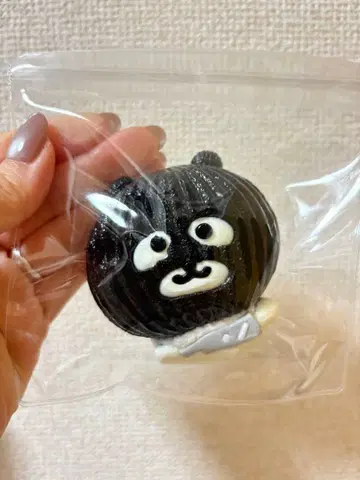 해외 스퀴즈 도둑 곰