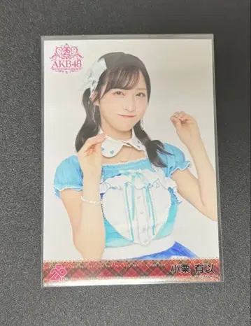 코구리 유이 AKB48 멤버 리퀘스트 동경의 의상 랜덤 브로마이드 요리