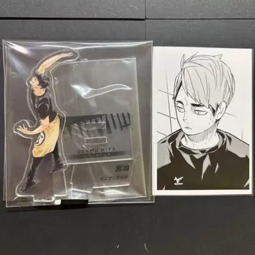 하이큐 크로니클 미야 오사무