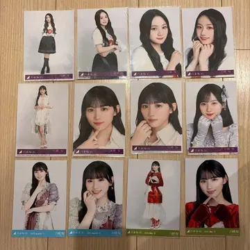 묶음 판매 카와사키 사쿠라 브로마이드 12장 세트