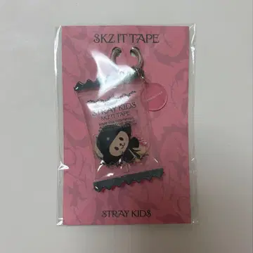 Stray Kids POPUP 쉐이커 키링 승민